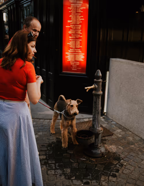 Item #1044129803555163806749913791991378571335345279143331484986438568223967281153 Media