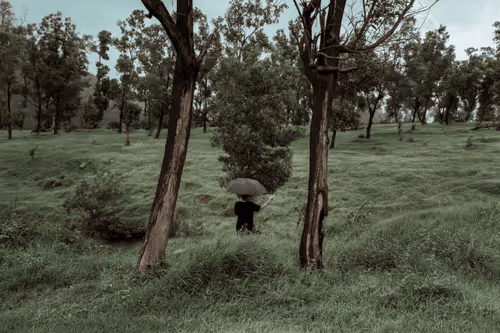 Abandoned Soul in the Woods