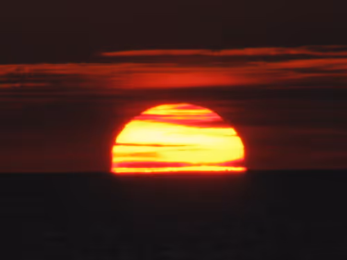 Orange pancake