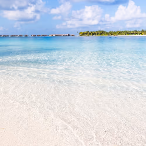 Untitled Collection #2626536