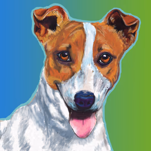 Item #18830508139135532033971019254834773076167871201870508921287020223107944153089 Media