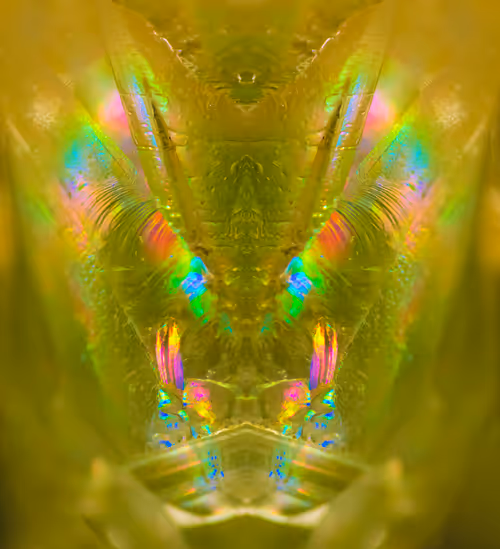 Item #86322865835249178422551085128691778807953829915868126837986678420594940182529 Media