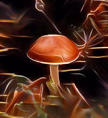 Item #98828088198769885069129805652987605738903563667474416042030428831309981810689 Media