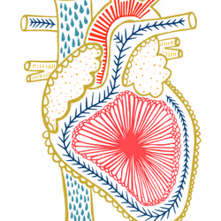 28824502245252267217549902857601847351510039266873569823091148150233783861249