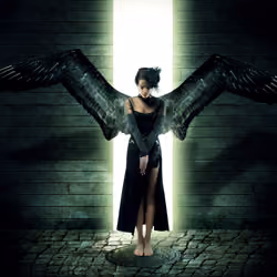 Angel Wing