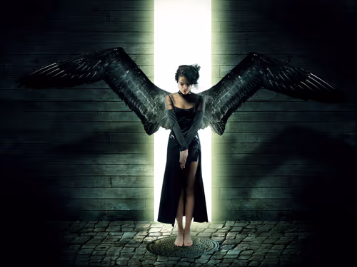 Item #50943708085269539428393455473425554362369750291724012733008559605023911182337 Media