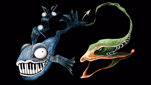 Item #72695523464753550601147126795501667149014001806411121621206157126160984571905 Media