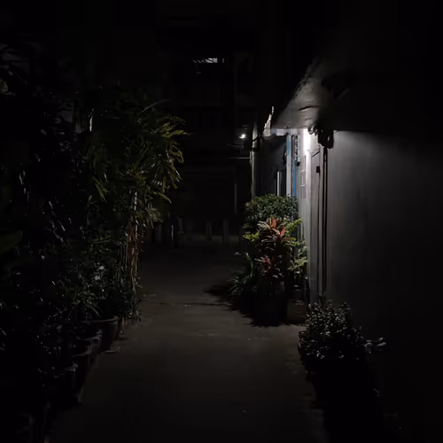 Adayinmyland