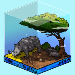 PKZ#5 - Rhino