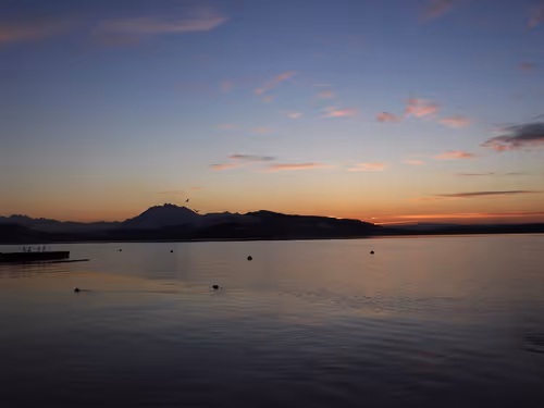 Item #57616968774937305667495645743759075996351860147408322149889343981062245580801 Media