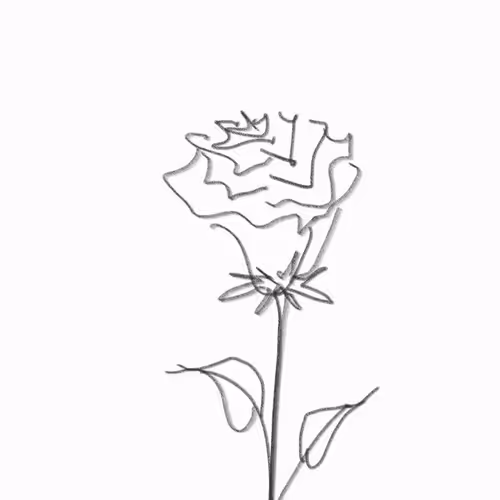 Metarose