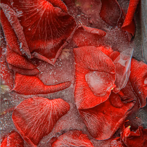 Item #80829721372825377784010953381890255518558028243098186913878117650898362564609 Media