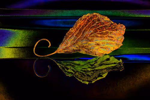 Item #11128123256113201505825332092376579448973501376012613523417643030482484461569 Media