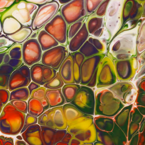 Item #55215379482972381042830546739742819784128288916042800513381540471651814080513 Media