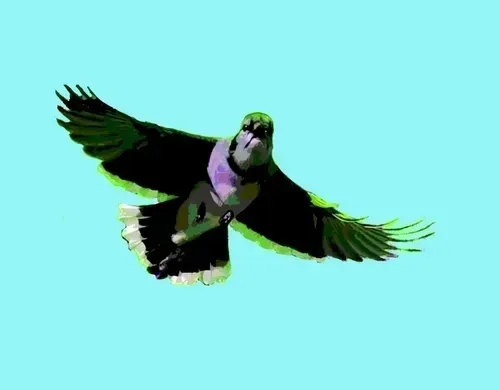 Item #43491420902550312144531220926816905712993913089726861711992935503179311742977 Media