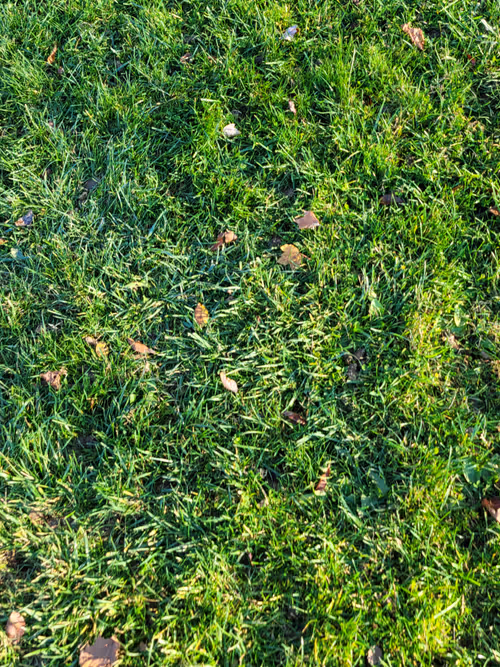 Item #61051240571971779841838649405693456424568018504308900476674196454158653980673 Media