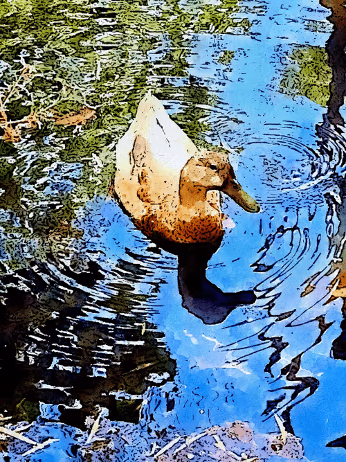 Item #23586274718377853504826207668531862457816485670593798671801516792352019054594 Media