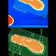 27995926591354850849324592375607072393725064448450721789259889293612762005505