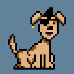 PunkDog #9787