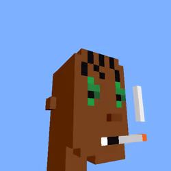 PunkVoxels #8920