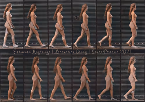 Item #81703717885701679420244426985503748541742411620896309859703145947476900446209 Media