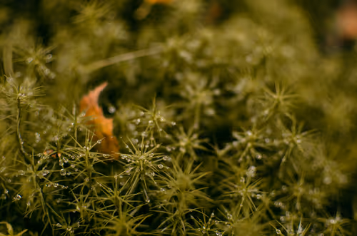 Item #89749655781633695214918973850275472722969414754438239918620403789733430296577 Media