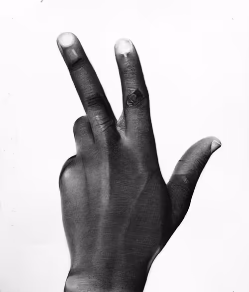 Item #85029651957232413877508603628086482717447766277652462771865888632166248611850 Media