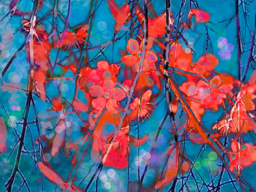 Item #91642206728278766191666267238193115180251034761865766936360919957765758124033 Media