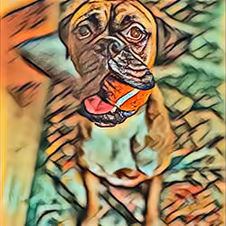 ball love