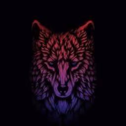 Untitled Collection #240663092