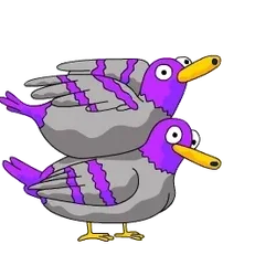 Pigeons