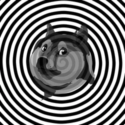 112045182056066716397529260868869455638199023847122987244342594259458174484481