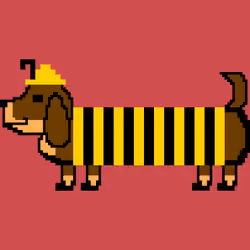 Dachshund #029