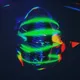 97611723152096870552093778720837131958141068158017644498713900472362673897473