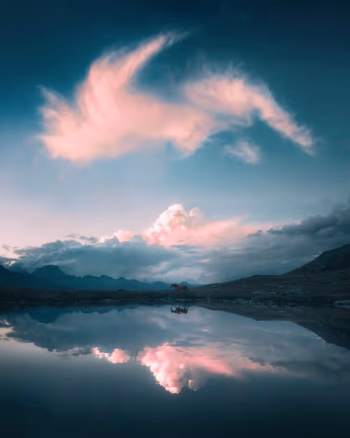 Item #134489906944514601836567189437532879130233761745768622289177269005782614017 Media