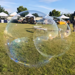 Market Bubbles 