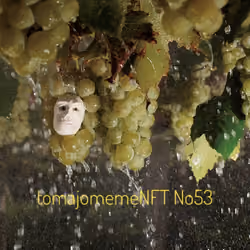tomajomemeNFT No53