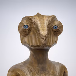 54945159616506010517458825273282806802326200748985476130895078818060334792705