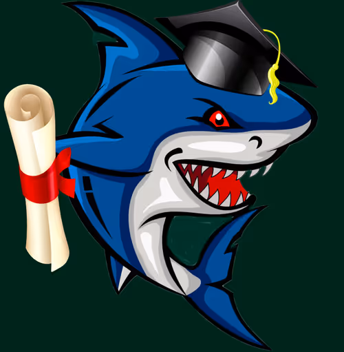 Item #40244392509954330522877384707556770693084347905831152942034397265455220785153 Media