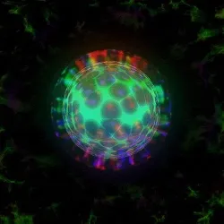 Crypto Graphic #32/999