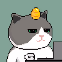 104919872742152227807235166418500170476562355609761586582247811405019374157825