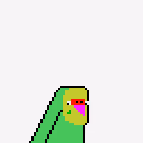 Budgie #347