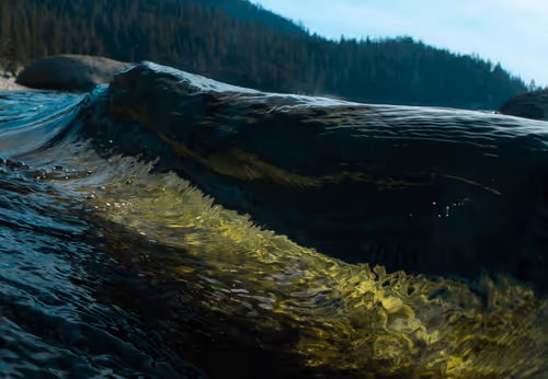 Lake Tahoe Collection