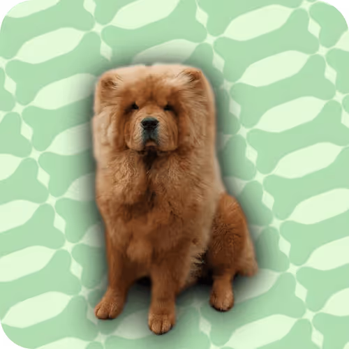 Item #18069411133127541891764540209837632150727605560921678338142275888513441333249 Media