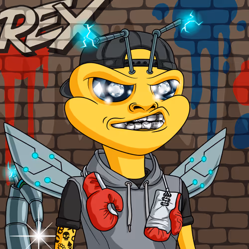 Cyber Hornets Queens Collection