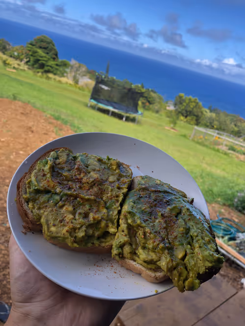 Item #111384347419130010131898734196272882001680551158239169533315207285580551421953 Media