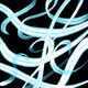 112201396436601694260357775633214296575850026153279068373717518118891273846785