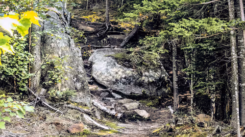 Item #78614967916850878758896281278088562819031429561597845143063367957427758563329 Media