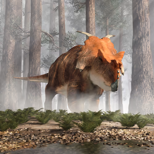 Item #15201862250514145958676777466825728141953005429687029988591517082091937333249 Media