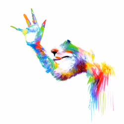 High Four Nature